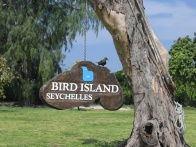 Bird Island 036.jpg